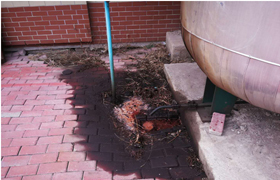 客戶安裝油氣分離器后反映油分跑油，應該怎么辦